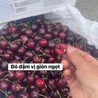 Cherry đỏ và vàng giao tại Việt Nam