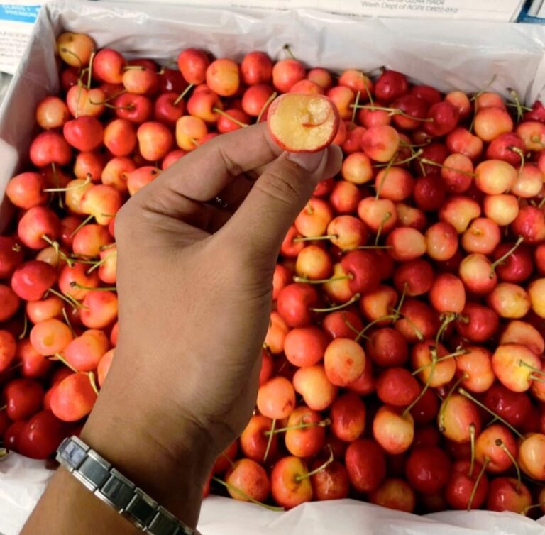 Cherry đỏ và vàng – giao toàn Việt Nam