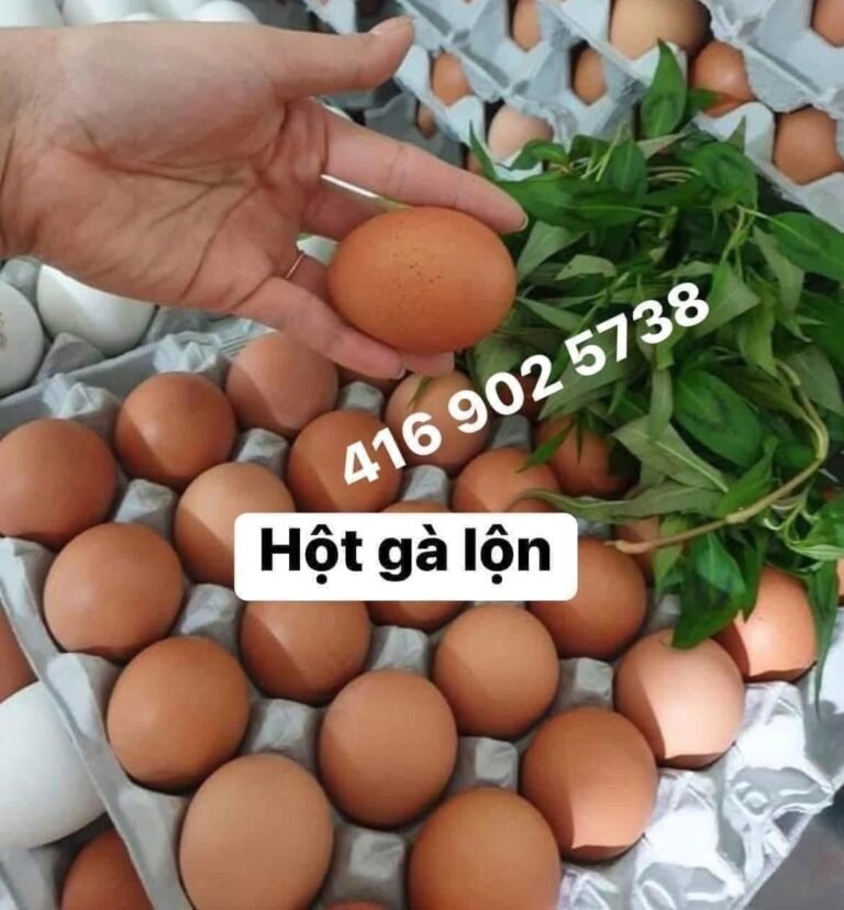 Hột gà lộn – nhận order Father’s Day