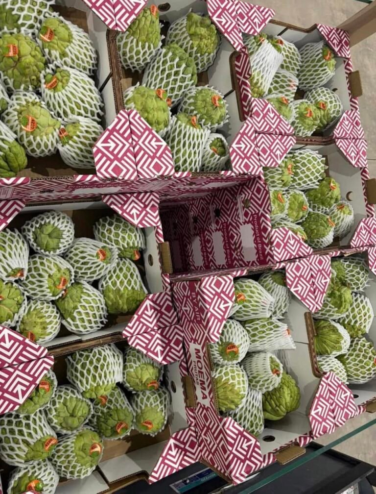 Na Brazil thùng 4 kg – nhận tại North York